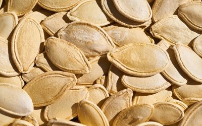 Tout savoir sur les semences utilisees par les entreprises agricoles