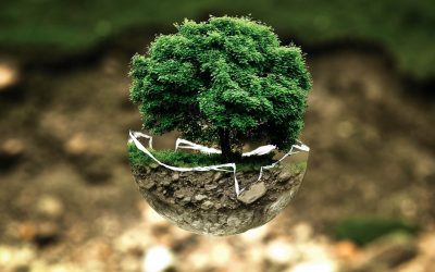 Communiquer sur l’écologie, comment s’y prendre sur le web ?